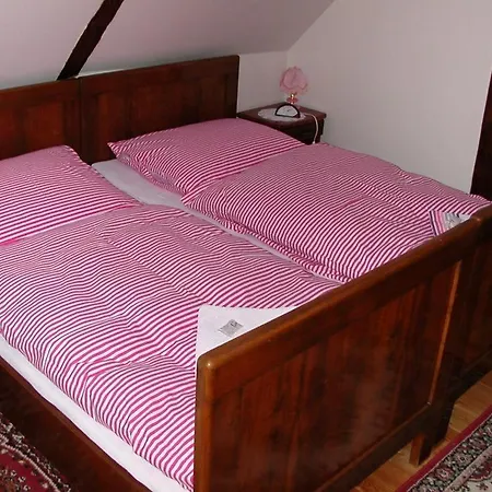 Capkuv Statek Guest house Horicky