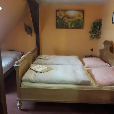 Guest house Capkuv Statek 3*