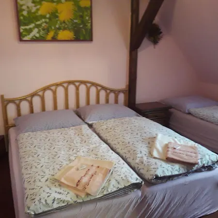 Capkuv Statek بيت ضيافة Hořičky