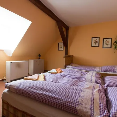 Guest house Capkuv Statek 3*